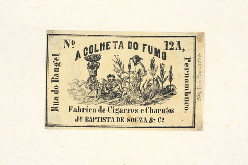 vizualizar o documento on line
